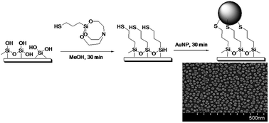 Graphical abstract: Silanization of solid surfaces via mercaptopropylsilatrane: a new approach of constructing gold colloid monolayers