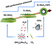 Graphical abstract: High-performance hydrogen evolution electrocatalysis by layer-controlled MoS2 nanosheets