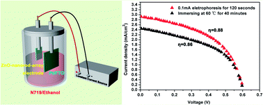 Graphical abstract: Fast sensitization process of ZnO-nanorod-array electrodes by electrophoresis for dye-sensitized solar cells