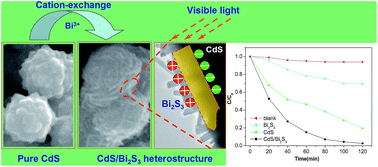 Graphical abstract: Facile ion-exchange synthesis of urchin-shaped CdS/Bi2S3 heterostructures with enhanced photostability and visible light photocatalytic activity
