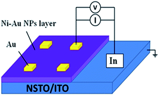 Graphical abstract: Electrode dependence of resistive switching in Au/Ni–Au nanoparticle devices