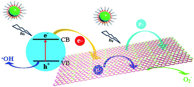 Graphical abstract: Influence of interface combination of reduced graphene oxide/P25 composites on their visible photocatalytic performance