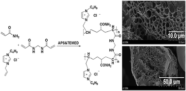 Graphical abstract: Preparation of ionic liquid polymer materials and their recognition properties for proteins