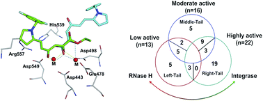 Graphical abstract: Dual mechanism of HIV-1 integrase and RNase H inhibition by diketo derivatives – a computational study