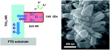 Graphical abstract: Construction of a branched ZnO–TiO2 nanorod array heterostructure for enhancing the photovoltaic properties in quantum dot-sensitized solar cells