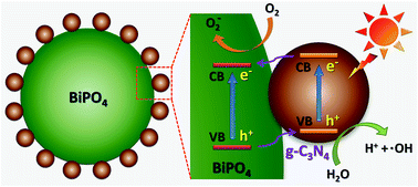 Graphical abstract: Novel visible light-induced g-C3N4 quantum dot/BiPO4 nanocrystal composite photocatalysts for efficient degradation of methyl orange