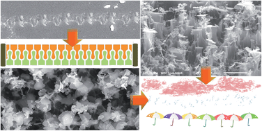 Graphical abstract: Boron nitride nanosheets with controlled size and thickness for enhancing mechanical properties and atomic oxygen erosion resistance