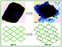 Graphical abstract: Unusual solvent-mediated hydrolysis of dicarboxylate monoester ligands in copper(ii) complexes toward simultaneous crystallization of new dicarboxylate derivatives