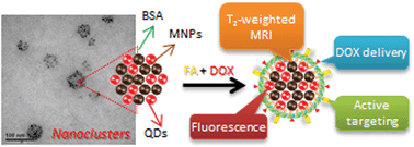 Graphical abstract: Development of bovine serum albumin-modified hybrid nanoclusters for magnetofluorescence imaging and drug delivery