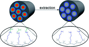 Graphical abstract: Molecular design of the amphiphilic AB diblock copolymer toward one-step synthesis of amino-group functionalized large pore mesoporous silica