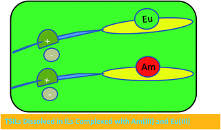 Graphical abstract: Diglycolamide-functionalized task specific ionic liquids for nuclear waste remediation: extraction, luminescence, theoretical and EPR investigations