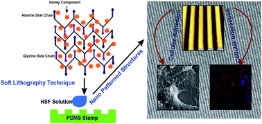 Graphical abstract: Nano-patterned honey incorporated silk fibroin membranes for improving cellular compatibility