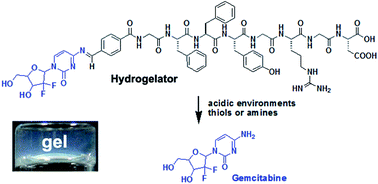 Graphical abstract: Gemcitabine induced supramolecular hydrogelations of aldehyde-containing short peptides