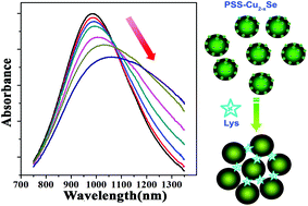 Graphical abstract: Tuning of the near-infrared localized surface plasmon resonance of Cu2−xSe nanoparticles with lysozyme-induced selective aggregation