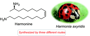 Graphical abstract: Access to harmonine, a chemical weapon of ladybird beetles