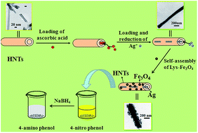 Graphical abstract: Superparamagnetic sandwich structured silver/halloysite nanotube/Fe3O4 nanocomposites for 4-nitrophenol reduction