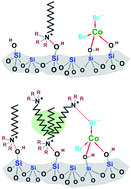 Graphical abstract: Influence of surfactant alkyl length in functionalizing sol–gel derived microporous cobalt oxide silica