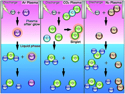 Graphical abstract: Investigation of reactive species using various gas plasmas