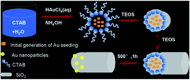 Graphical abstract: One-pot preparation of novel asymmetric structure nanoparticles and its application in catalysis