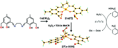 Graphical abstract: Copper(ii) induced oxidative modification and complexation of a schiff base ligand: synthesis, crystal structure, catalytic oxidation of aromatic hydrocarbons and DFT calculation