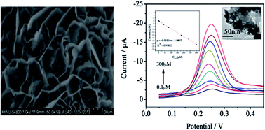 Graphical abstract: Nanosheet-based 3D hierarchical ZnO structure decorated with Au nanoparticles for enhanced electrochemical detection of dopamine