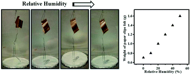 Graphical abstract: Poly(N-isopropylacrylamide) microgel-based thin film actuators for humidity sensing