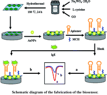 Graphical abstract: An aptamer electrochemical assay for sensitive detection of immunoglobulin E based on tungsten disulfide–graphene composites and gold nanoparticles