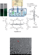 Graphical abstract: Polyaniline nanofibers–graphene oxide nanoplatelets composite thin film electrodes for electrochemical capacitors