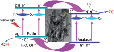 Graphical abstract: Fabrication of Ti3+ self-doped TiO2(A) nanoparticle/TiO2(R) nanorod heterojunctions with enhanced visible-light-driven photocatalytic properties