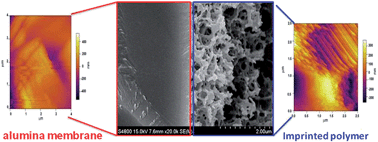 Graphical abstract: Introduction of an ordered porous polymer network into a ceramic alumina membrane via non-hydrolytic sol–gel methodology for targeted dynamic separation