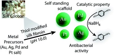 Graphical abstract: Green synthesis of noble metal nanoparticles using cysteine-modified silk fibroin: catalysis and antibacterial activity