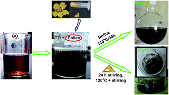 Graphical abstract: A facile green synthesis of reduced graphene oxide by using pollen grains of Peltophorum pterocarpum and study of its electrochemical behavior