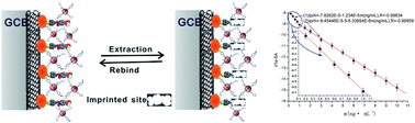 Graphical abstract: A molecularly imprinted electrochemical enzymeless sensor based on functionalized gold nanoparticle decorated carbon nanotubes for methyl-parathion detection