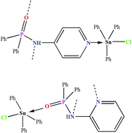 Graphical abstract: Steric and electronic control over the structural diversity of N-(n-pyridinyl) diphenylphosphinic amides (n = 2 and 4) as difunctional ligands in triphenyltin(iv) adducts