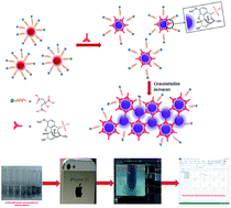Graphical abstract: A smart and rapid colorimetric method for the detection of codeine sulphate, using unmodified gold nanoprobe