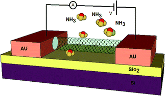 Graphical abstract: An analytical model and ANN simulation for carbon nanotube based ammonium gas sensors