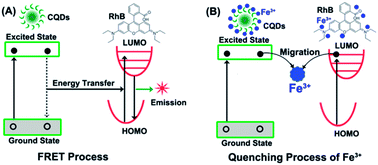 Graphical abstract: Enhanced performance of Fe3+ detection via fluorescence resonance energy transfer between carbon quantum dots and Rhodamine B