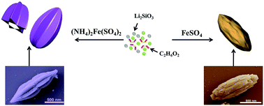 Graphical abstract: Synthesis of novel morphologies of Li2FeSiO4/C micro/nano composites by a facile hydrothermal method