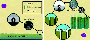 Graphical abstract: Amphiphobic surfaces from functionalized TiO2 nanotube arrays