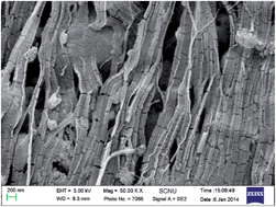 Graphical abstract: Characterization and high pollutant removal ability of buoyant (C, N)–TiO2/PTFE flakes prepared by high-energy ball-milling