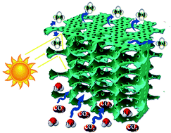 Graphical abstract: Formation of 3D interconnectively macro/mesoporous TiO2 sponges through gelation of lotus root starch toward CO2 photoreduction into hydrocarbon fuels