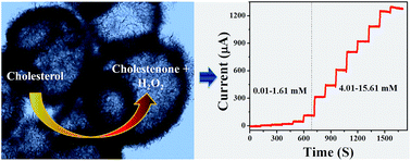 Graphical abstract: Cholesterol biosensing based on highly immobilized ChOx on ZnO hollow nanospheres