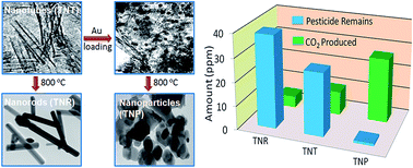 Graphical abstract: Influence of thermal treatment and Au-loading on the growth of versatile crystal phase composition and photocatalytic activity of sodium titanate nanotubes