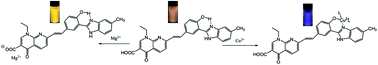 Graphical abstract: A fluorescent probe for the detection of Mg(ii) and Cu(ii) and its application for imaging in living cells