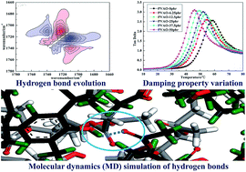 Graphical abstract: Molecular insights into the damping mechanism of poly(vinyl acetate)/hindered phenol hybrids by a combination of experiment and molecular dynamics simulation