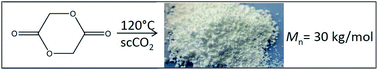 Graphical abstract: Synthesis of high molecular weight polyglycolide in supercritical carbon dioxide