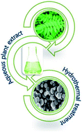 Graphical abstract: Single-step green synthesis of imine-functionalized carbon spheres and their application in uranium removal from aqueous solution