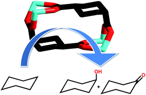 Graphical abstract: A cyclic tetranuclear cuboid type copper(ii) complex doubly supported by cyclohexane-1,4-dicarboxylate: molecular and supramolecular structure and cyclohexane oxidation activity