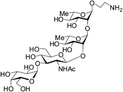 Graphical abstract: Synthesis of the tetrasaccharide repeating unit of the O-antigen of the Escherichia coli O69 strain and its conformational analysis