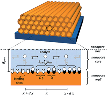 Graphical abstract: Theory and simulation of diffusion–adsorption into a molecularly imprinted mesoporous film and its nanostructured counterparts. Experimental application for trace explosive detection